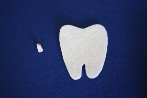 Tooth and Tooth
